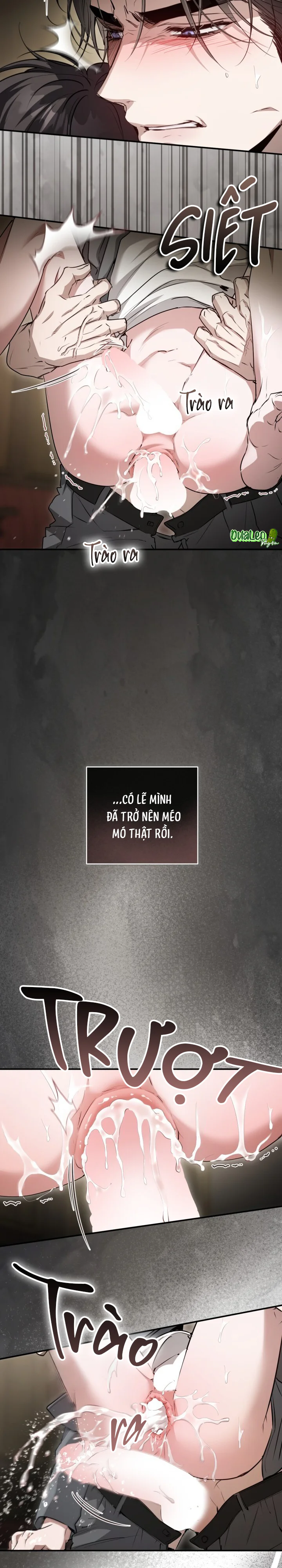Đọc truyện GÓC KHUẤT CỦA ANH EM NHÀ QUÝ TỘC - Chapter 14