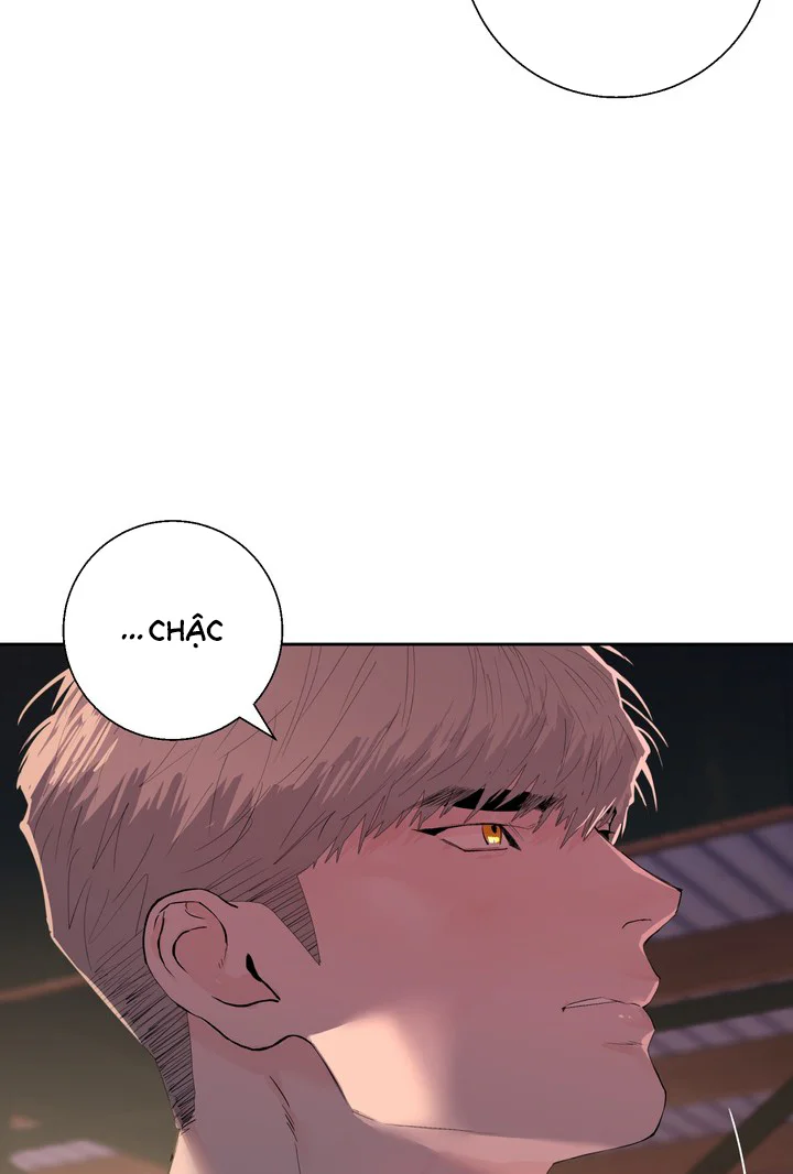 Đọc truyện CẢNH BÁO HÌNH XĂM - Chapter 3