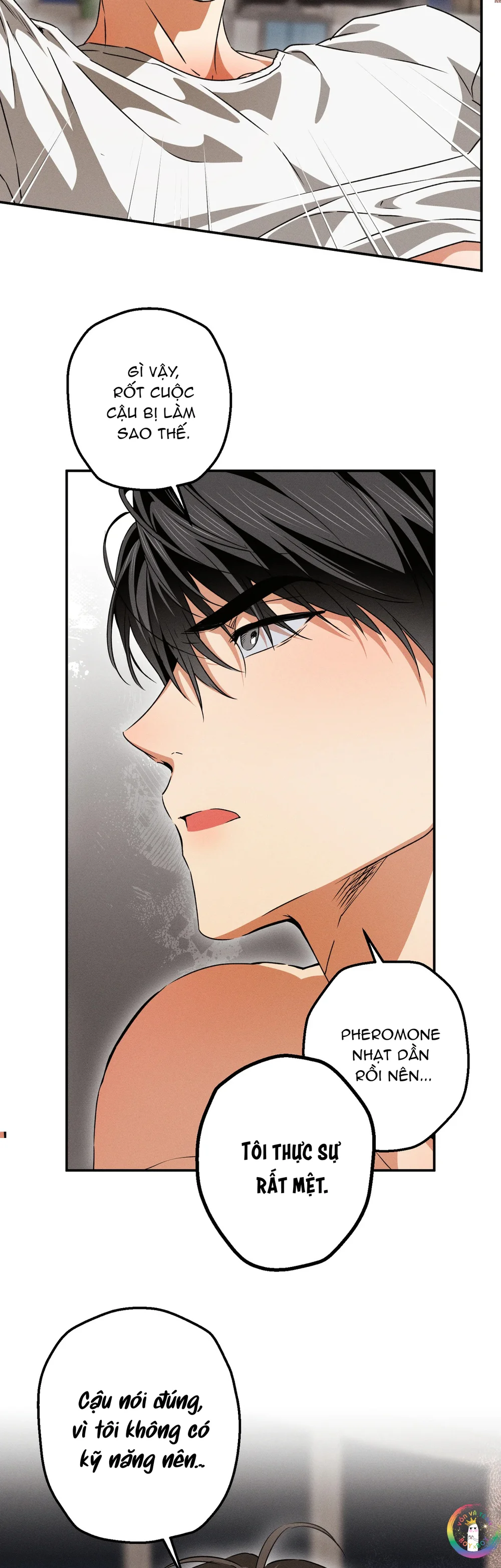 Đọc truyện High School Salty Heart - Chapter 25