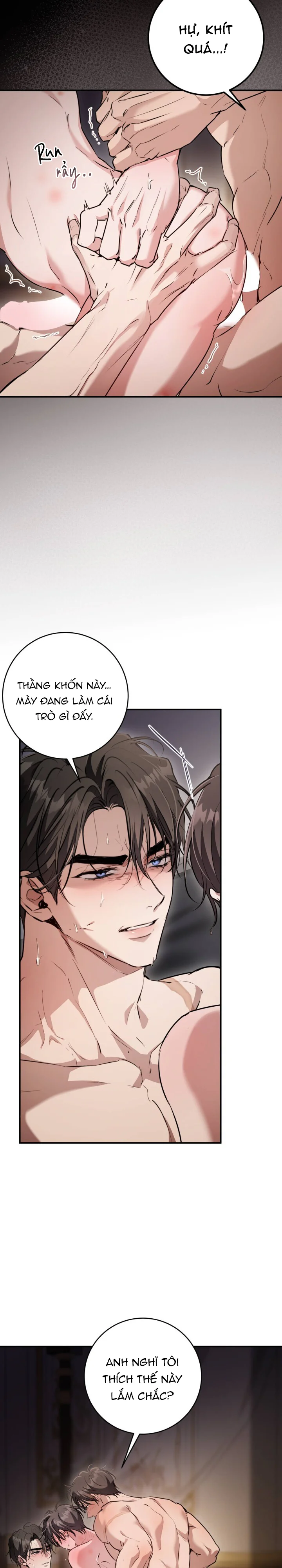 Đọc truyện Bí Mật Của Anh Em Quý Tộc - Chapter 19