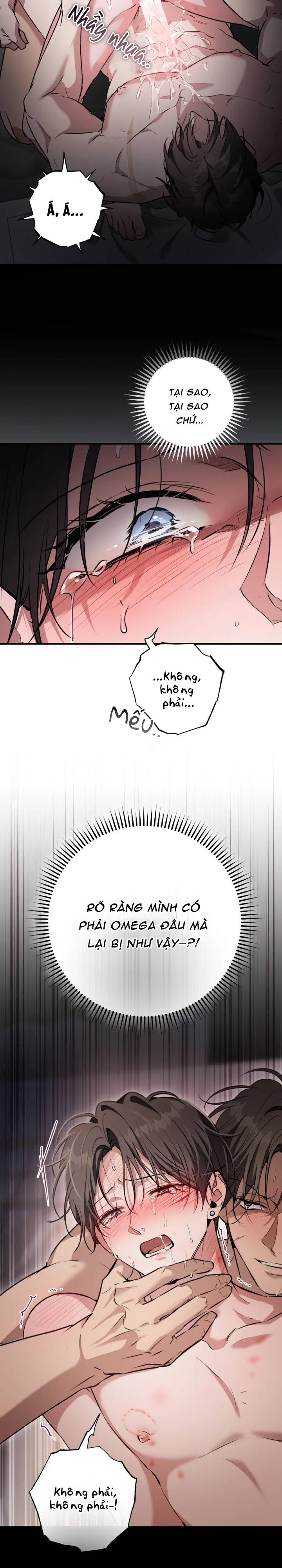 Đọc truyện Bí Mật Của Anh Em Quý Tộc - Chapter 19
