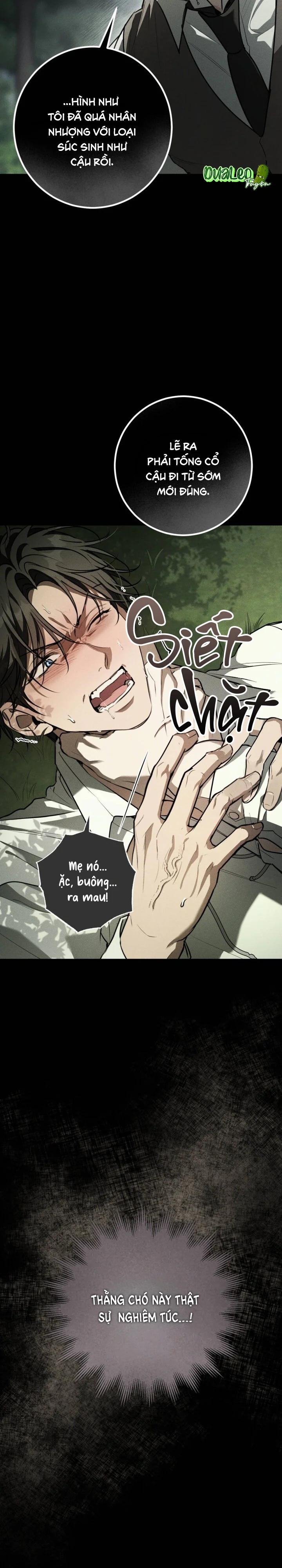 Đọc truyện GÓC KHUẤT CỦA ANH EM NHÀ QUÝ TỘC - Chapter 15
