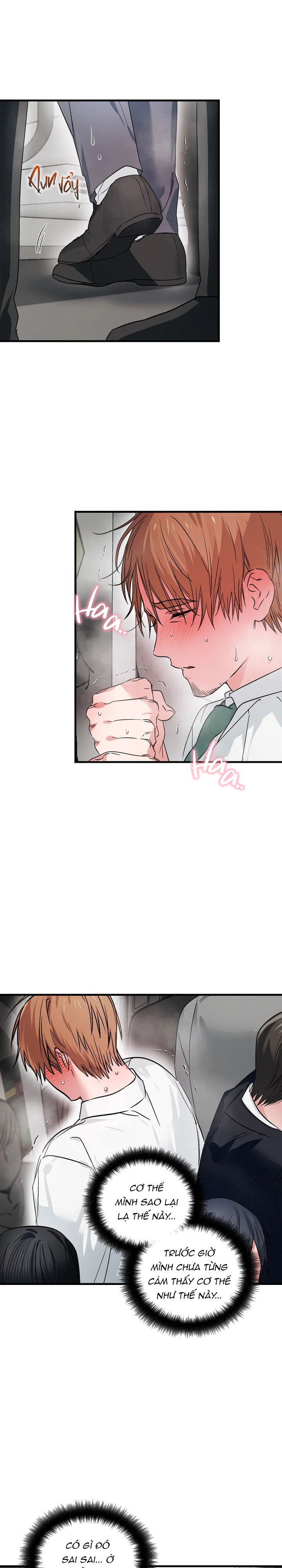 Đọc truyện Tuyển Tập manhwa NP - Chapter 2.2