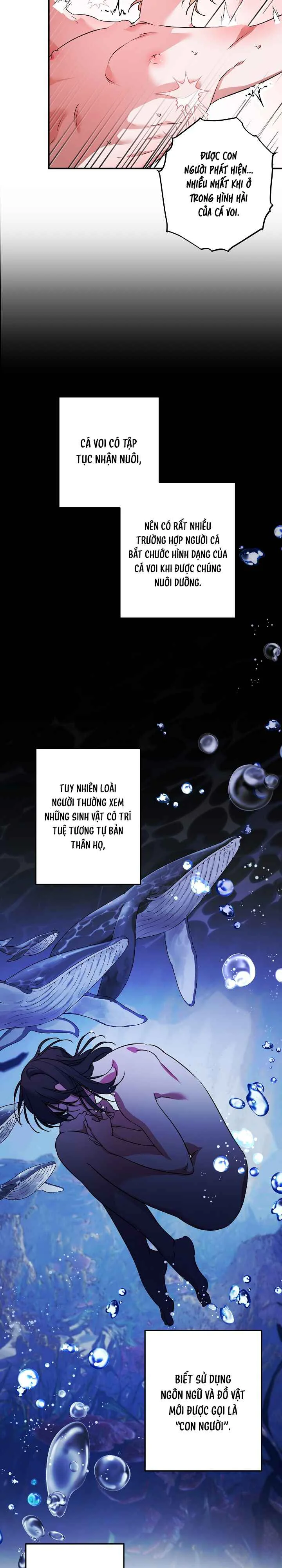 Đọc truyện NHẬT KÝ NUÔI DƯỠNG NÀNG TIÊN CÁ - Chapter 5