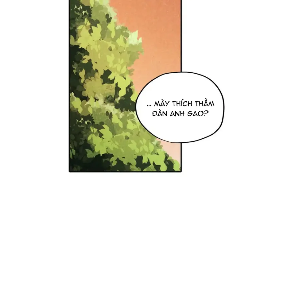Đọc truyện Một Bó Rau Chân Vịt - Chapter 19
