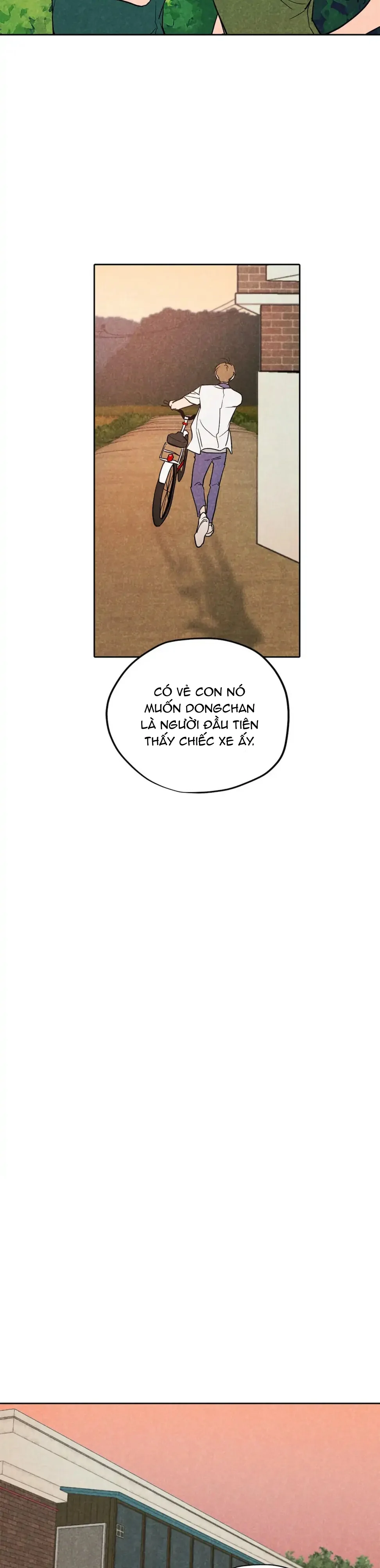 Đọc truyện Một Bó Rau Chân Vịt - Chapter 19