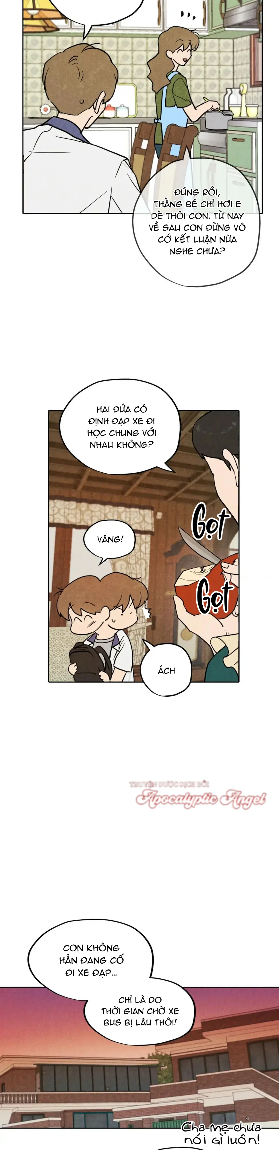 Đọc truyện Một Bó Rau Chân Vịt - Chapter 19