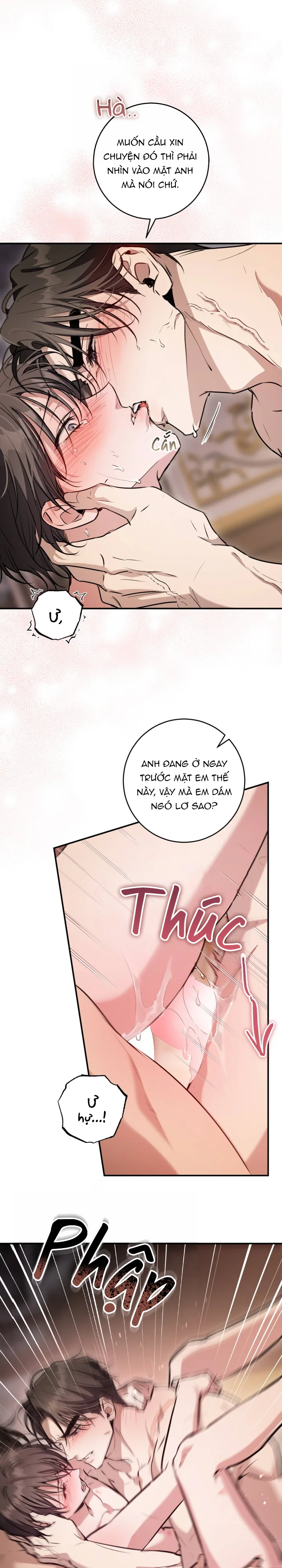 Đọc truyện Bí Mật Của Anh Em Quý Tộc - Chapter 20