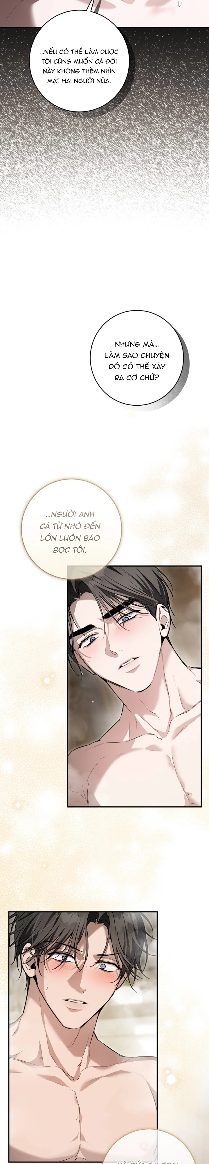Đọc truyện Bí Mật Của Anh Em Quý Tộc - Chapter 20