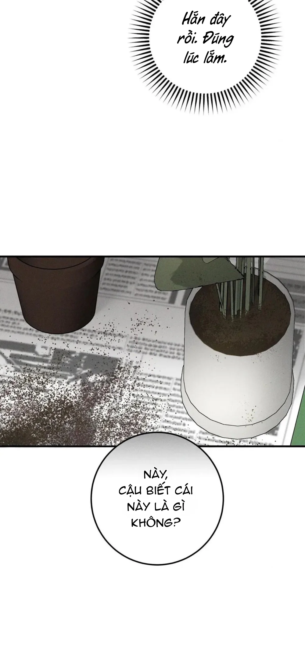 Đọc truyện Thật Tốt Khi Được Gặp Em - Chapter 4