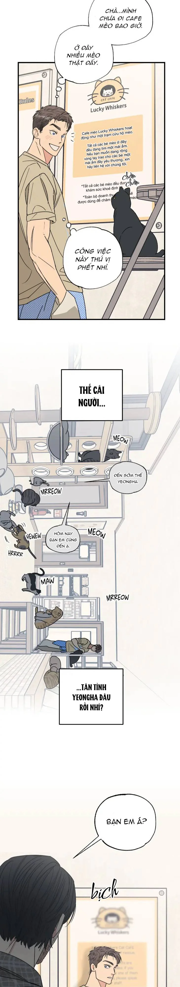 Đọc truyện Purrfect Choice - Chapter 3