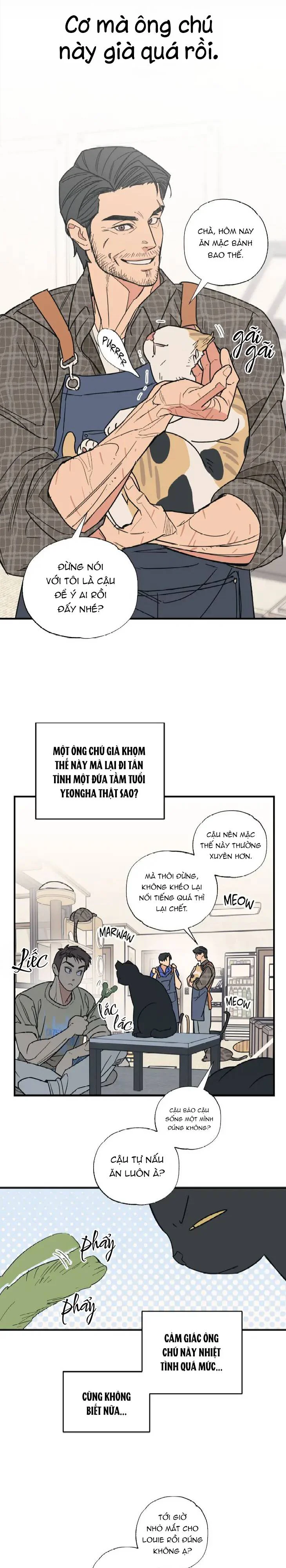 Đọc truyện Purrfect Choice - Chapter 3