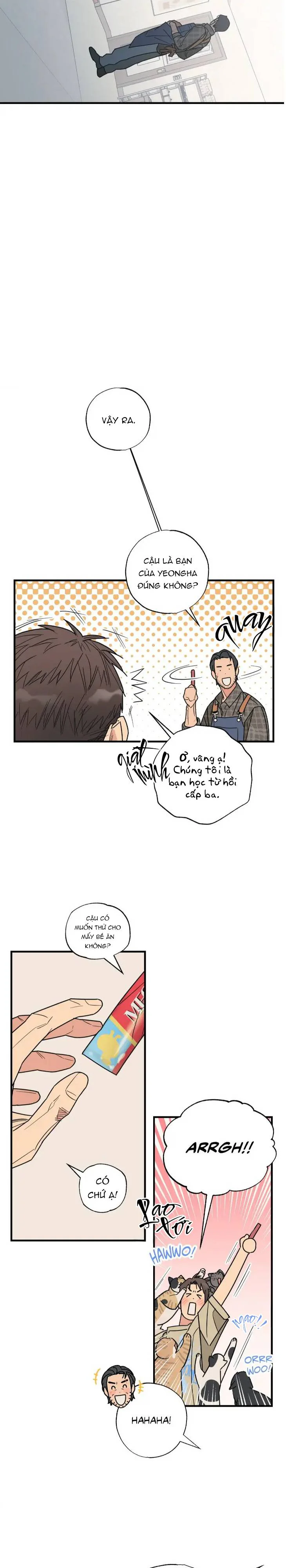 Đọc truyện Purrfect Choice - Chapter 3