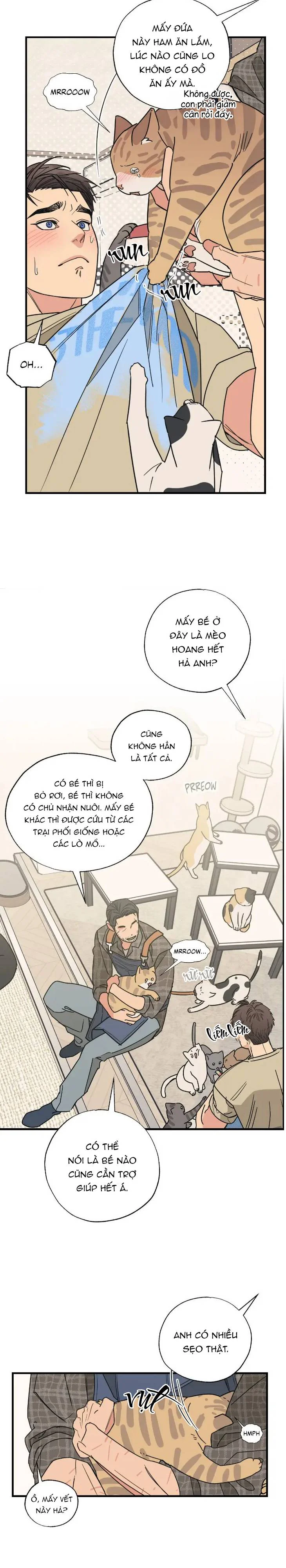Đọc truyện Purrfect Choice - Chapter 3