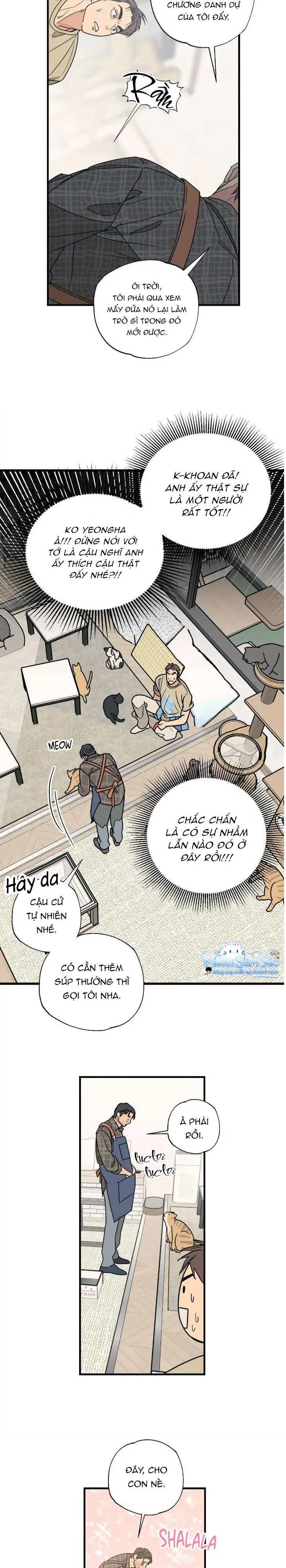Đọc truyện Purrfect Choice - Chapter 3