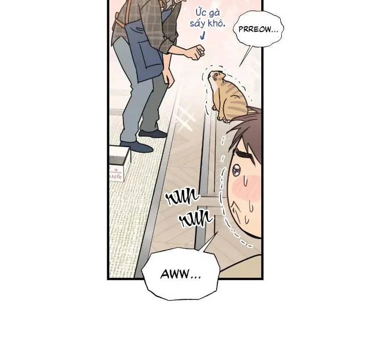 Đọc truyện Purrfect Choice - Chapter 3