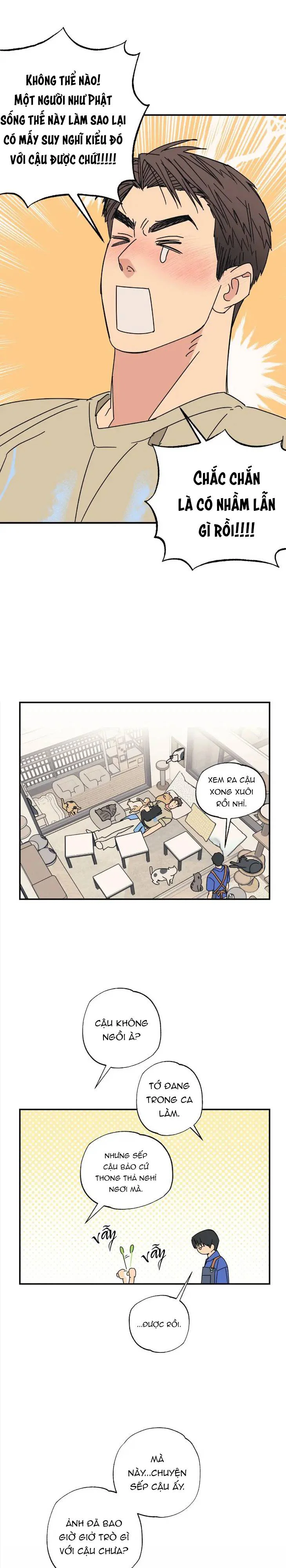Đọc truyện Purrfect Choice - Chapter 3