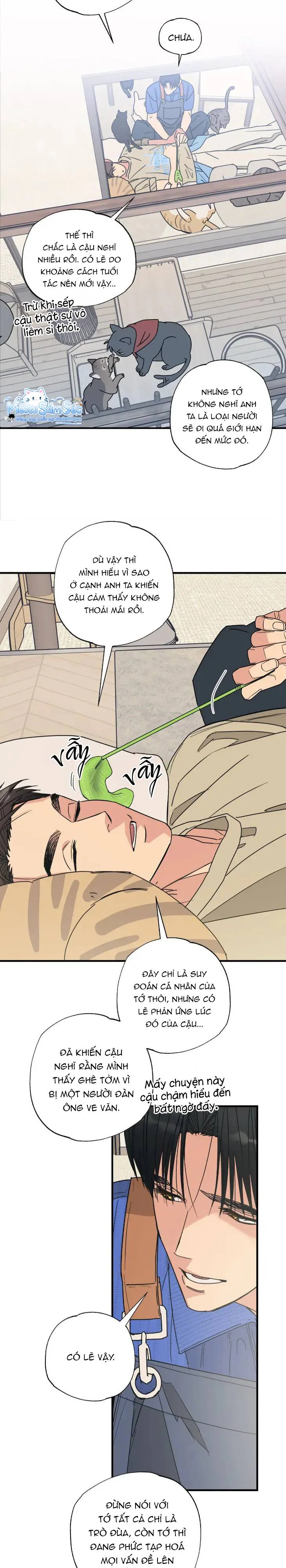 Đọc truyện Purrfect Choice - Chapter 3