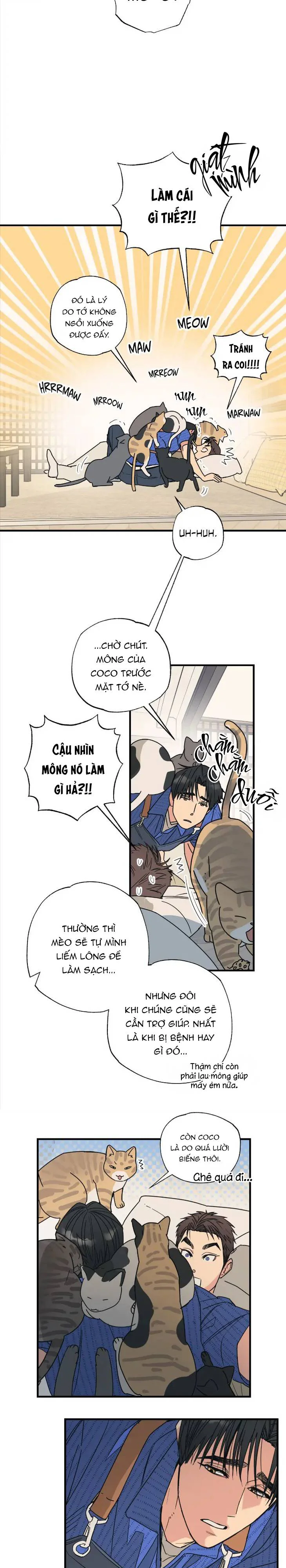 Đọc truyện Purrfect Choice - Chapter 3