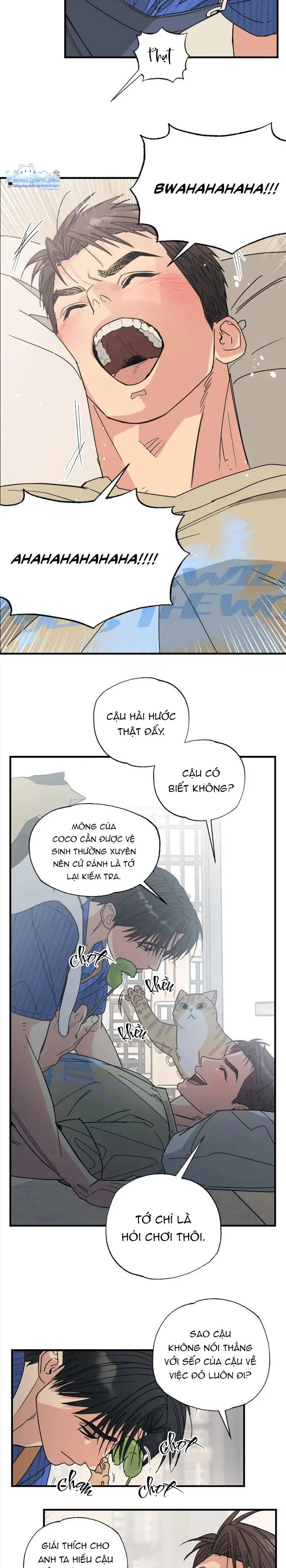 Đọc truyện Purrfect Choice - Chapter 3