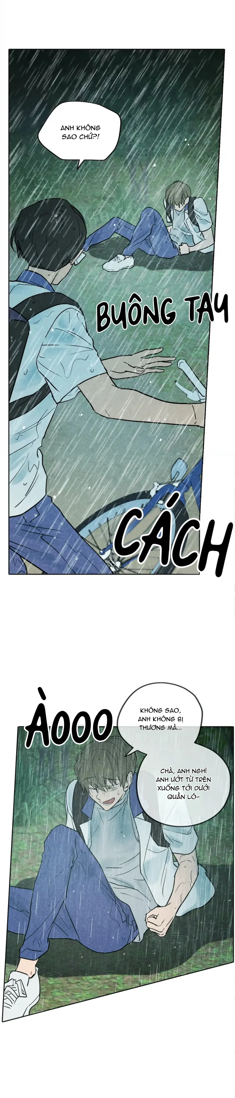 Đọc truyện Một Bó Rau Chân Vịt - Chapter 20