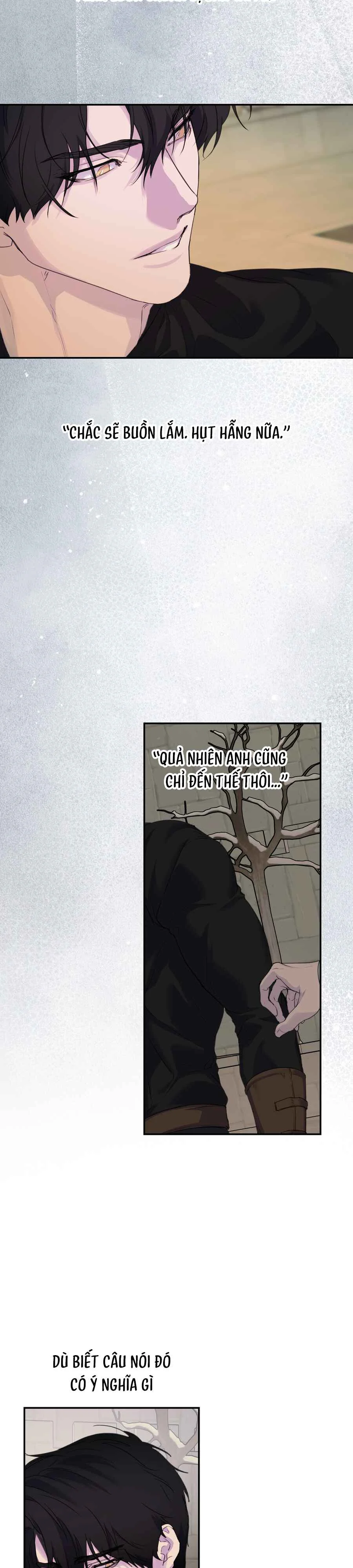 Đọc truyện ĐÓA HOA CỦA ALOSHA - Chapter 56