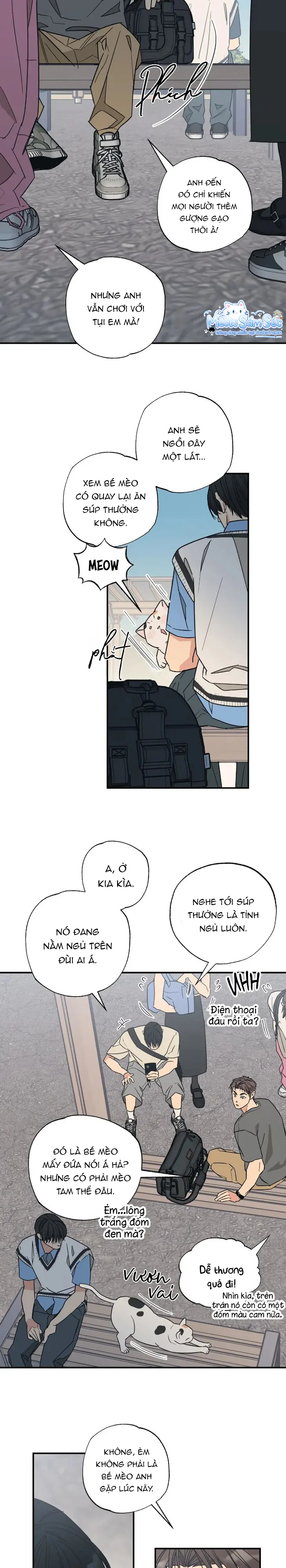 Đọc truyện Purrfect Choice - Chapter 4