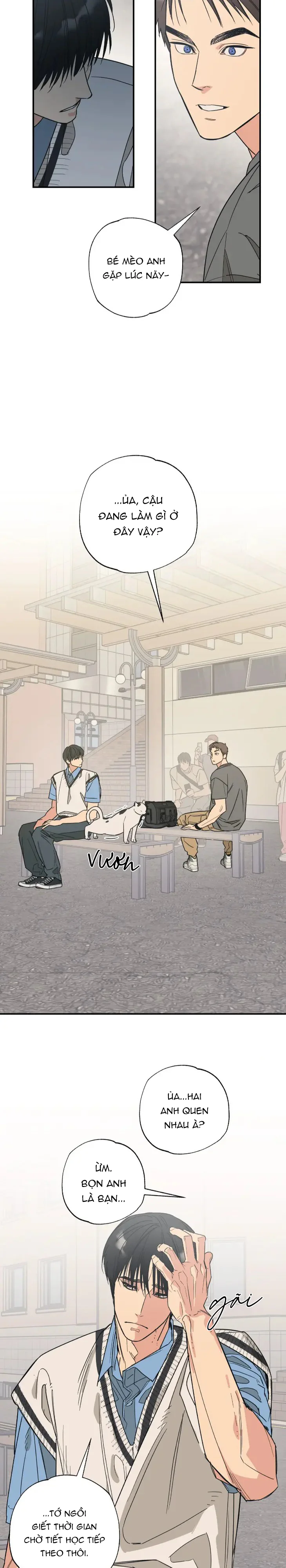 Đọc truyện Purrfect Choice - Chapter 4