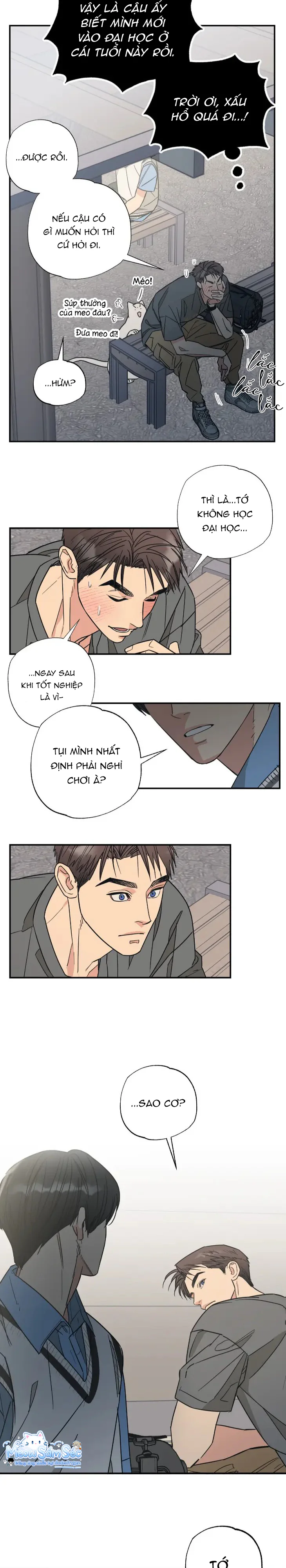 Đọc truyện Purrfect Choice - Chapter 4