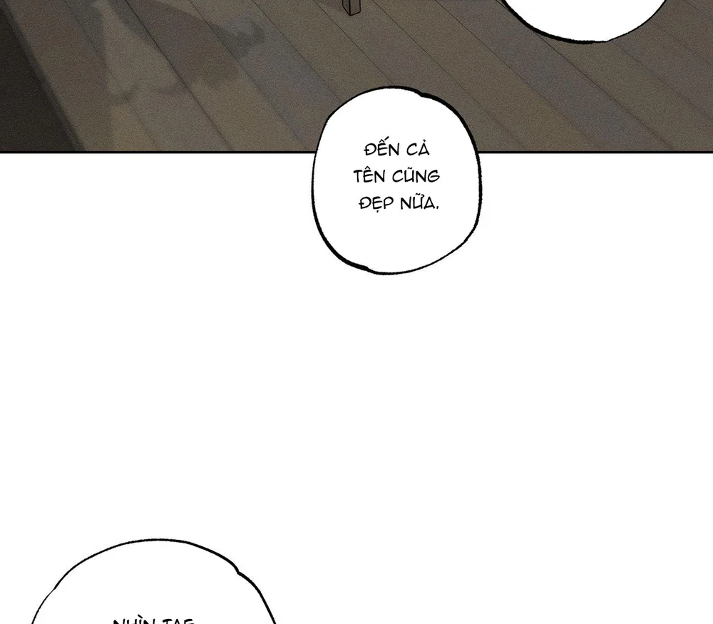 Đọc truyện Sau Ánh Đèn Sân Khấu - Chapter 38
