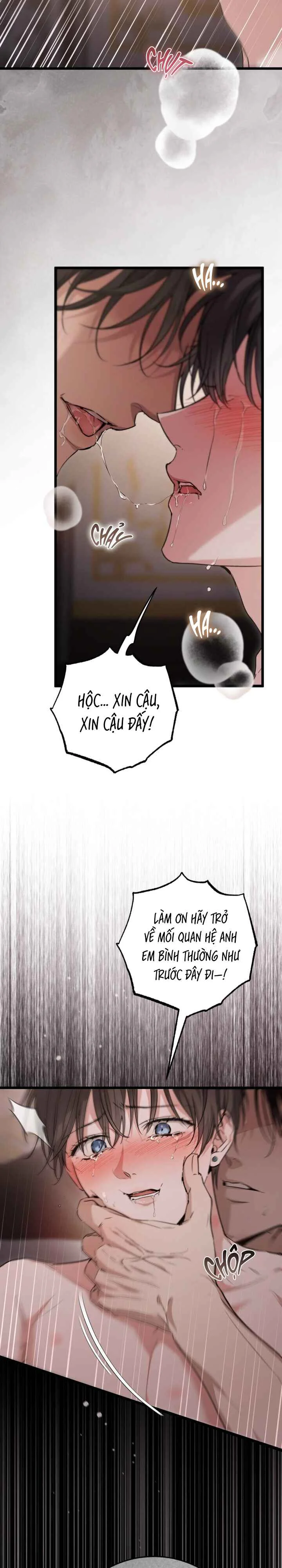 Đọc truyện GÓC KHUẤT CỦA ANH EM NHÀ QUÝ TỘC - Chapter 18