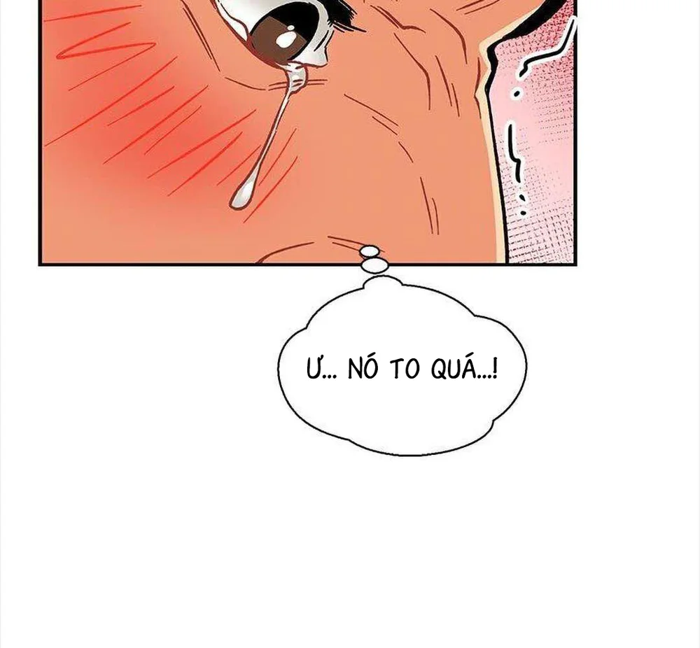 Đọc truyện [DROP] LieBling! - Chapter 95