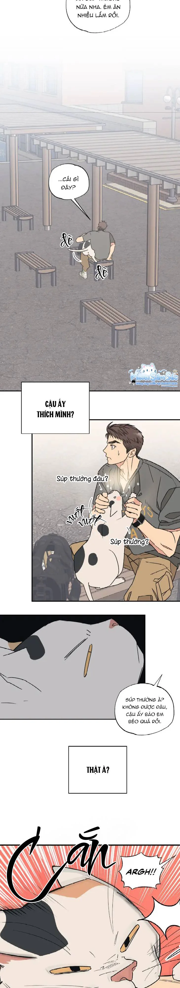 Đọc truyện Purrfect Choice - Chapter 5