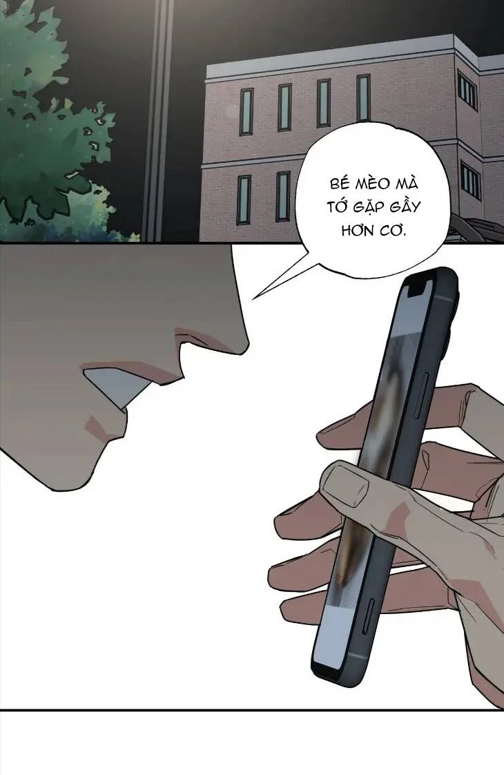 Đọc truyện Purrfect Choice - Chapter 5