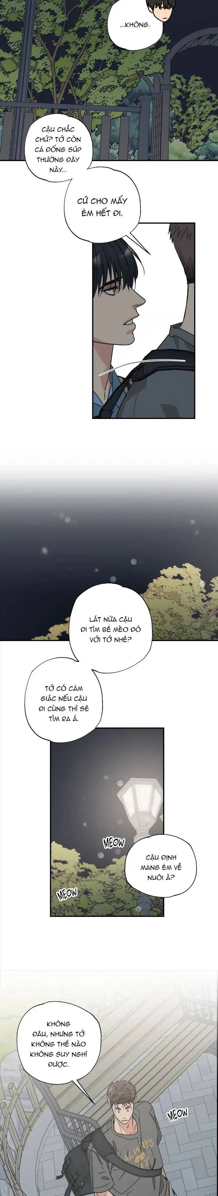 Đọc truyện Purrfect Choice - Chapter 5
