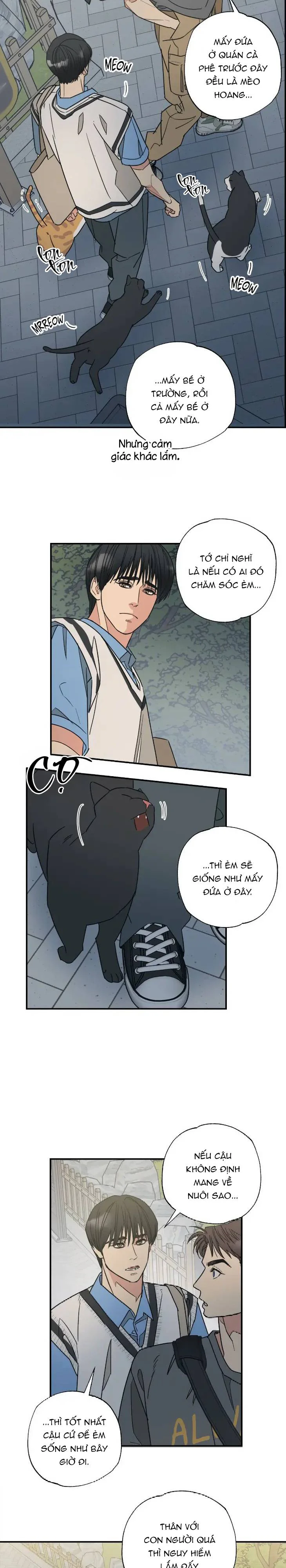 Đọc truyện Purrfect Choice - Chapter 5