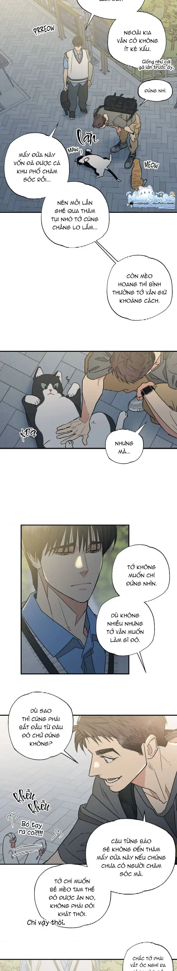 Đọc truyện Purrfect Choice - Chapter 5