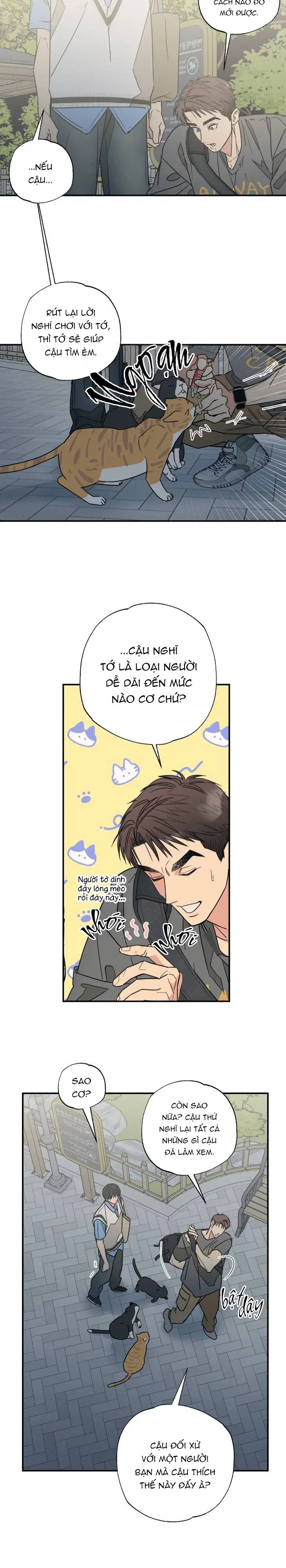 Đọc truyện Purrfect Choice - Chapter 5