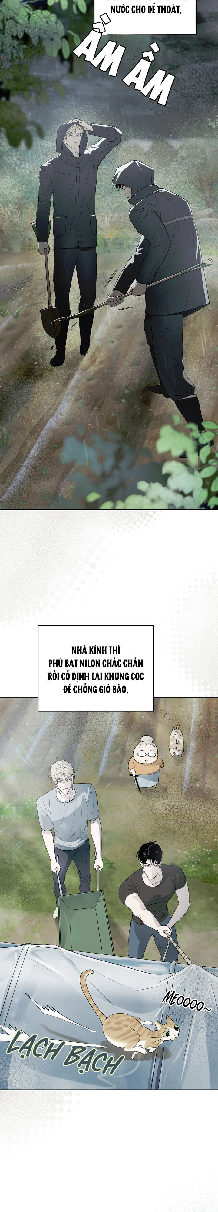 Đọc truyện Cho tôi mượn đất trồng khoai - Chapter 8