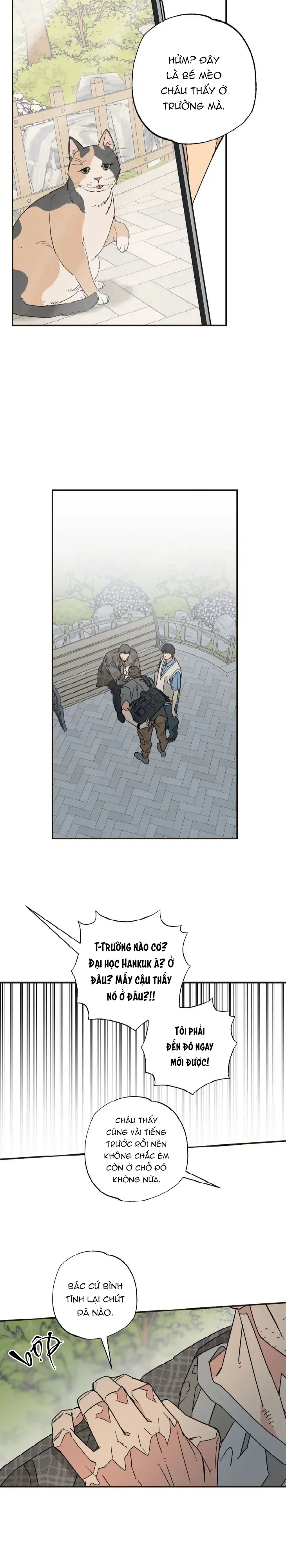 Đọc truyện Purrfect Choice - Chapter 6