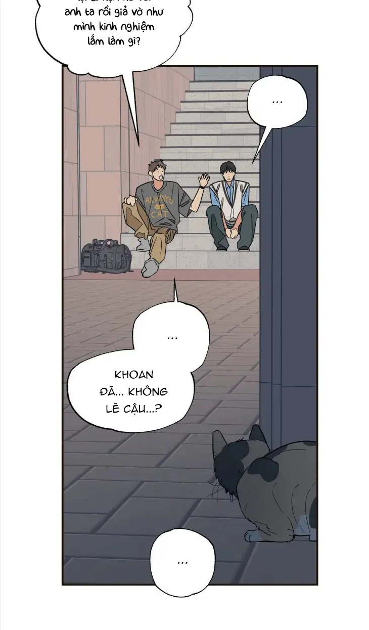 Đọc truyện Purrfect Choice - Chapter 6