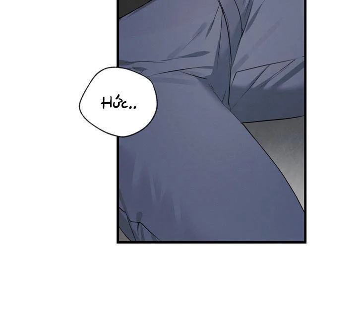 Đọc truyện Tuyển Tập manhwa NP - Chapter 2.5