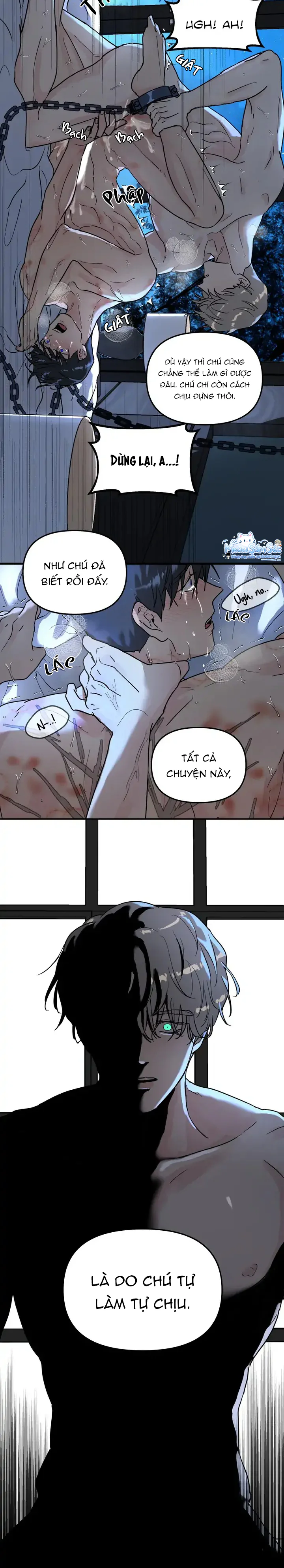 Đọc truyện Cây Không Rễ - Chapter 1