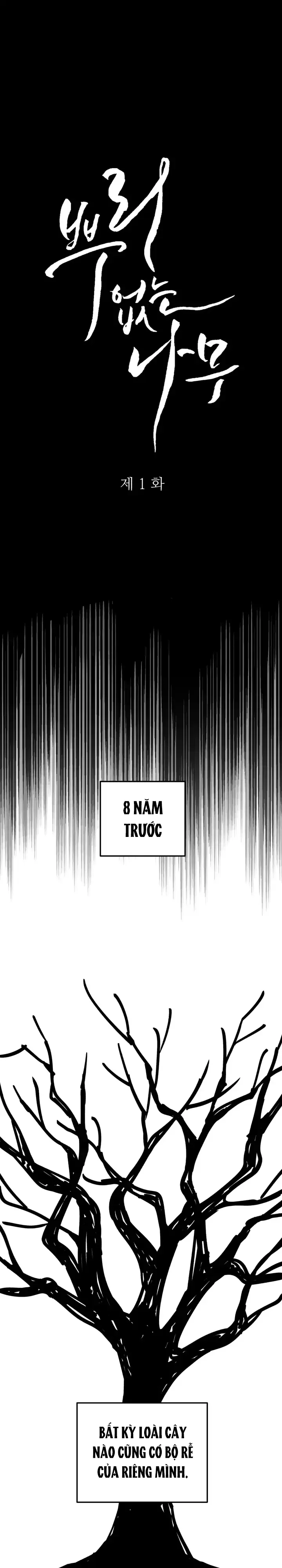 Đọc truyện Cây Không Rễ - Chapter 1