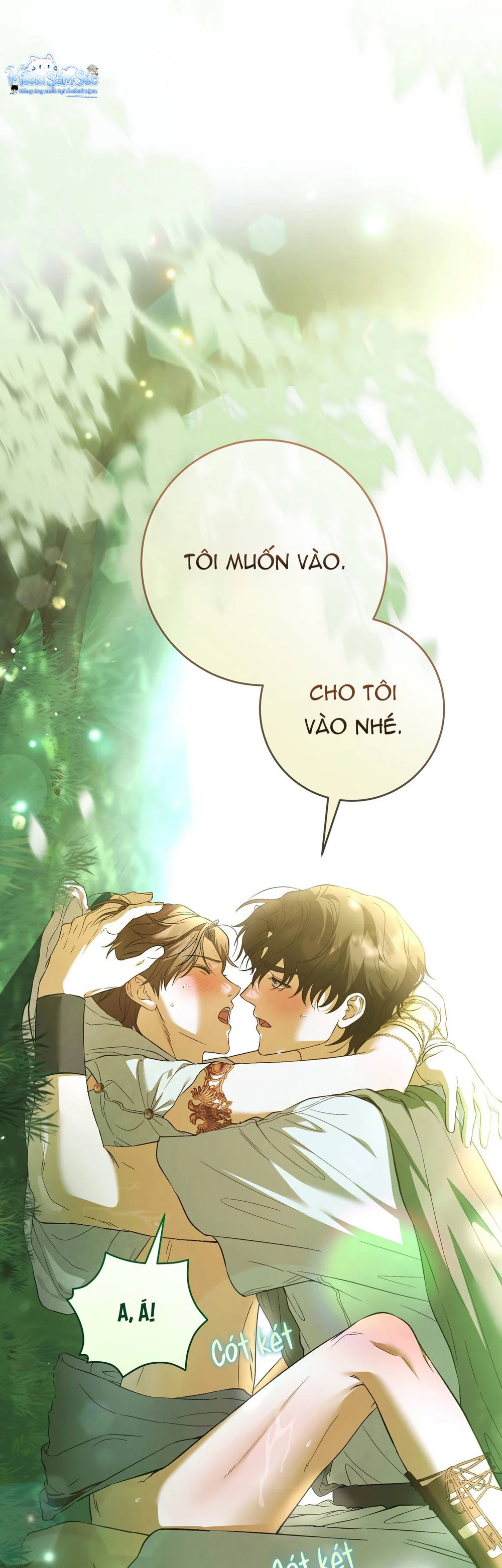Đọc truyện Qua Những Cành Nguyệt Quế - Chapter 1