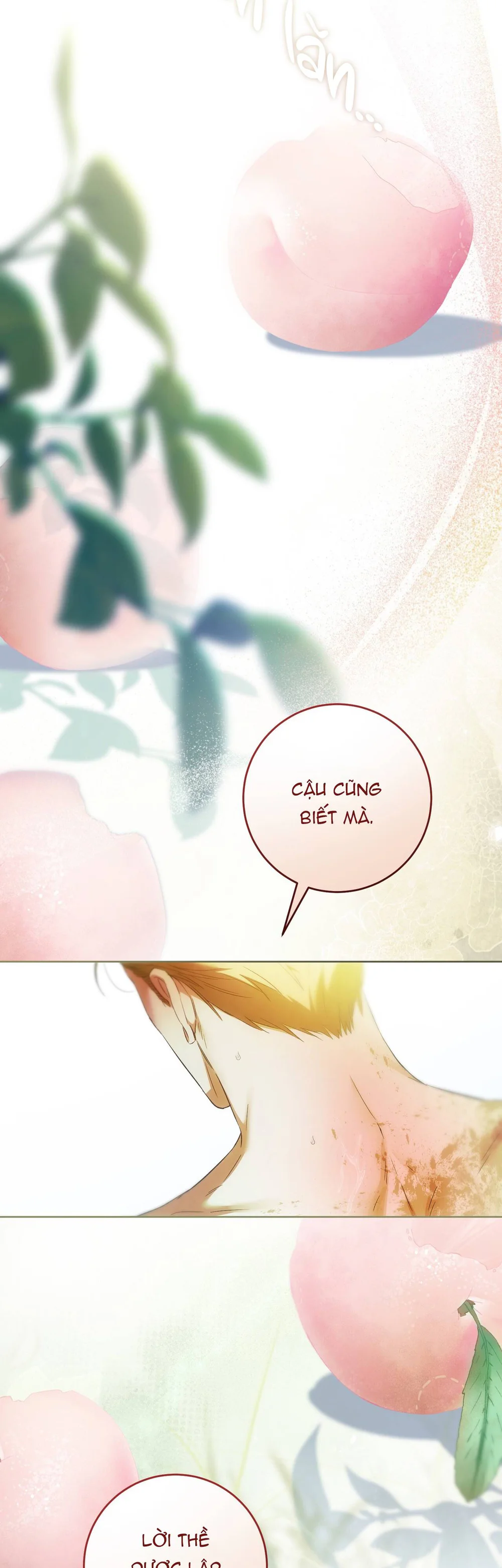 Đọc truyện Qua Những Cành Nguyệt Quế - Chapter 1