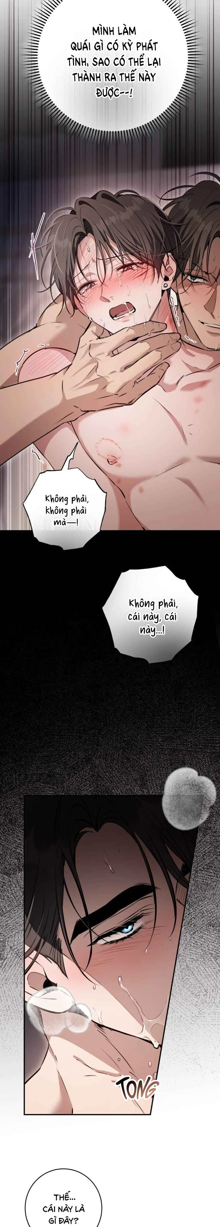 Đọc truyện GÓC KHUẤT CỦA ANH EM NHÀ QUÝ TỘC - Chapter 19