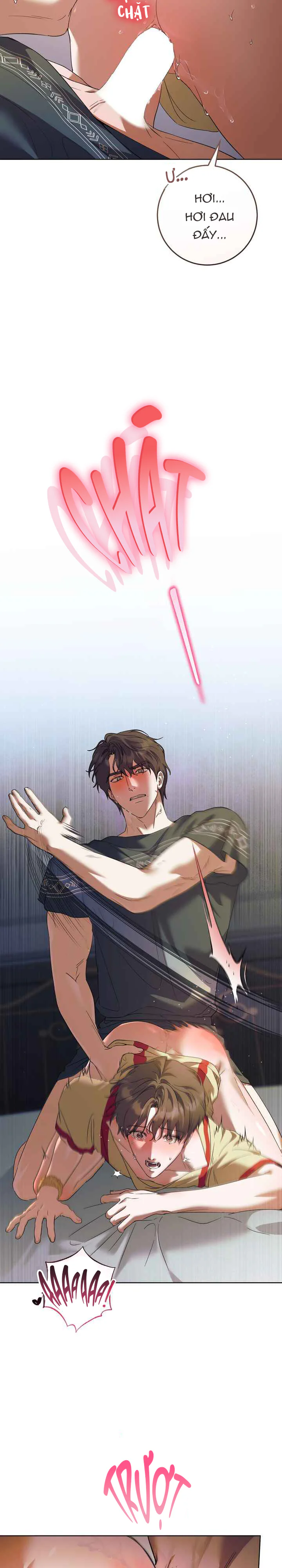 Đọc truyện Giữa những cành nguyệt quế - Chapter 5