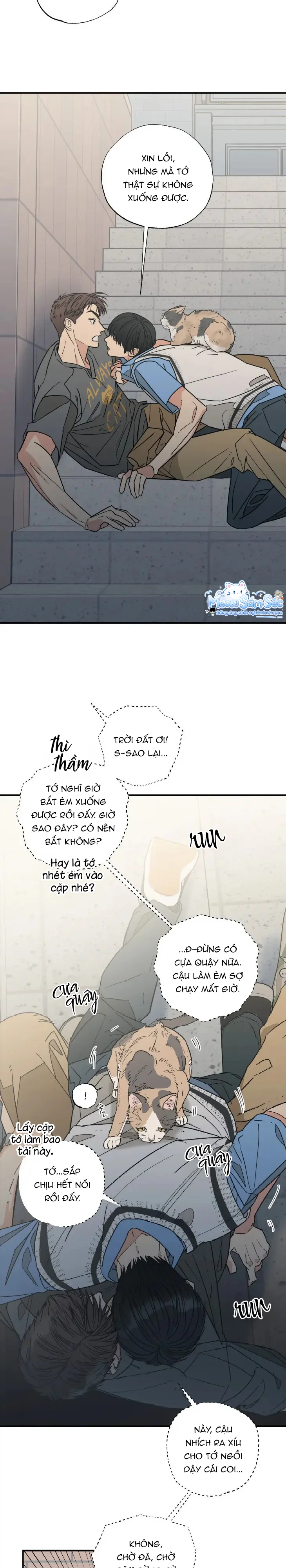 Đọc truyện Purrfect Choice - Chapter 7