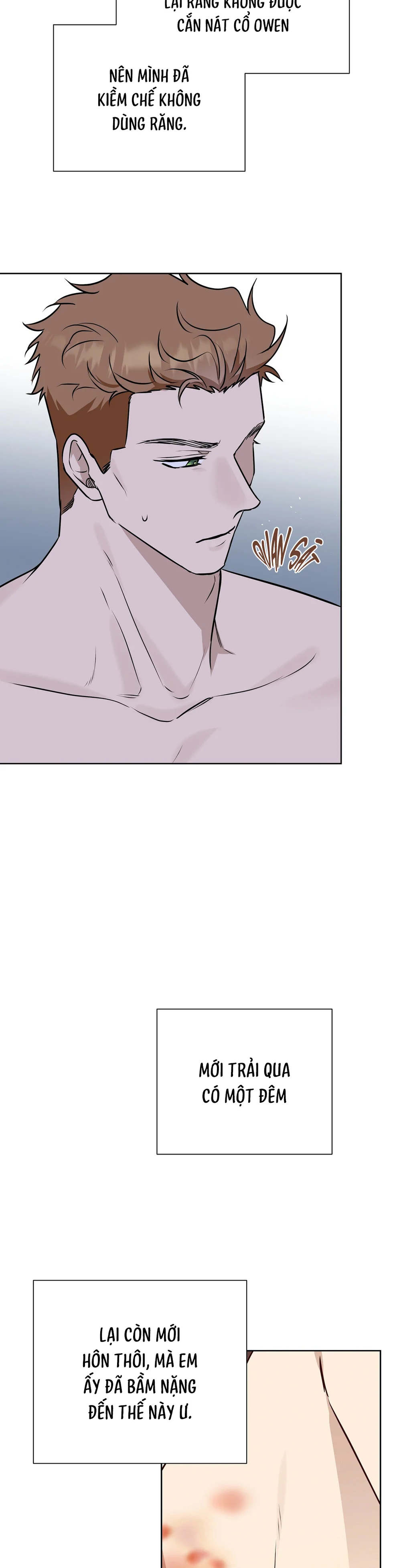 Đọc truyện OMEGA HOÀN HẢO CỦA TÔI - Chapter 63